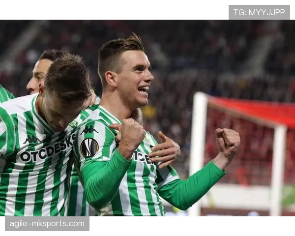 埃尔切重返西甲，球队历史新篇章值得关注与期待